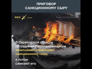 Приговор санкционному сыру