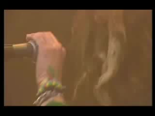 Soulfly jumpdafuckup (feat corey tpornr) (live at graspop) (2006)