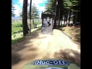 Crankworx rotorua reed boggs ig 11