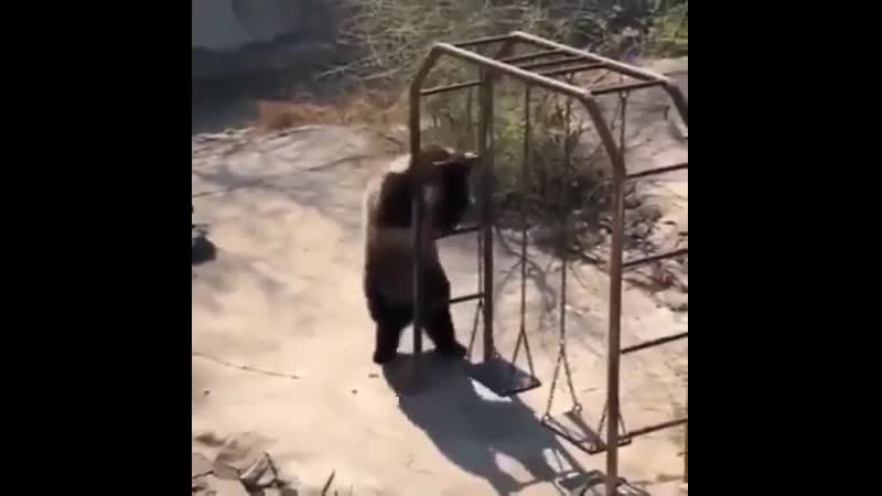 Нарушитель карантина