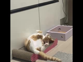 [sns] 200928 personal instagram update @ exy