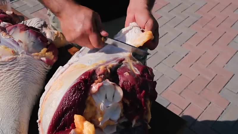 Шашлык из страуса мясо страуса на мангале eng sub