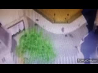 Лука и маринетт