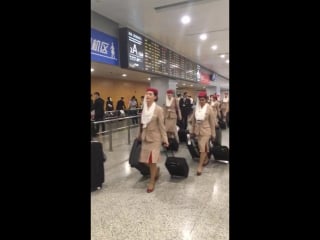 Flight attendants at pudong airport