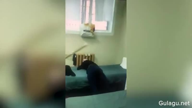 Кресты 2 сизо