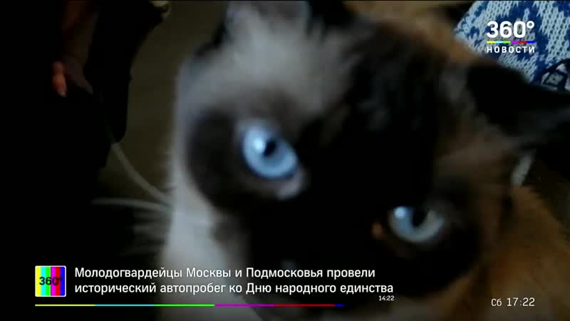 Девушки едят насекомых