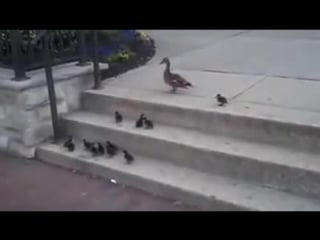 Ye mat kaho khuda se meri mushkilen badi hai