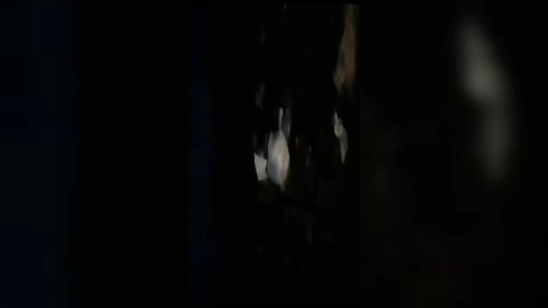 Зумеры из львовской области закинули молодые в мешок и до смерти забили беднягу