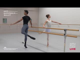 Ballet class barre special with dancers and ernst meisner dutch national bal