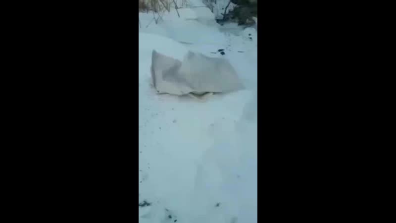 Выкопали porn video – Выкопали рыбу