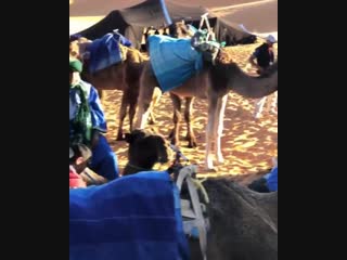 John wick3 дюны мерзуги keanu reeves