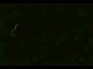 Jamie thomas (zero misled youth)