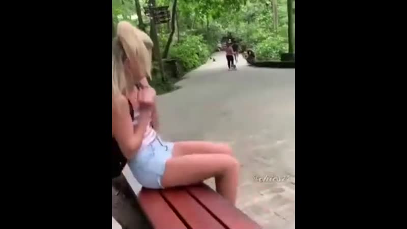 Не обманывай мартышку