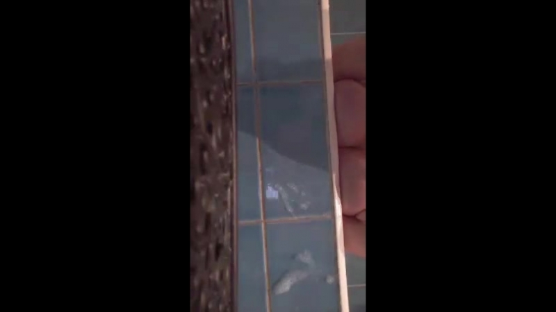 Марина геворкян светит сисечками сидя в ванной в перископе periscope