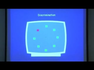 Sensory systems lec 5 the midget and parasol systems 360р