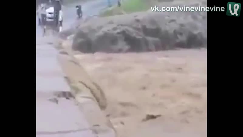 Бесстрашие и слабоумие