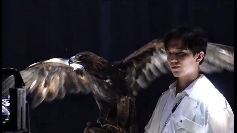 Backstage promo arnau envoy