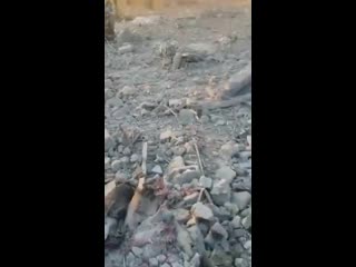 Footage of the aftermath in barisha, northwestern syria