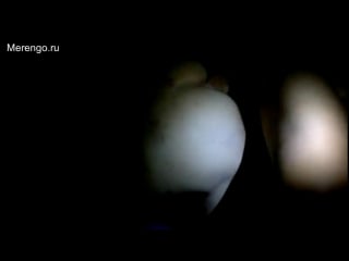 А ну ка накуй блять мы сейчас тут такую порнушку снимем (home porn sex домашнее любительское порно секс) 18+