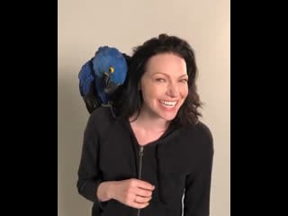 Видео от laura prepon » лора припон