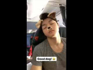 Stories alex & maia shibutani