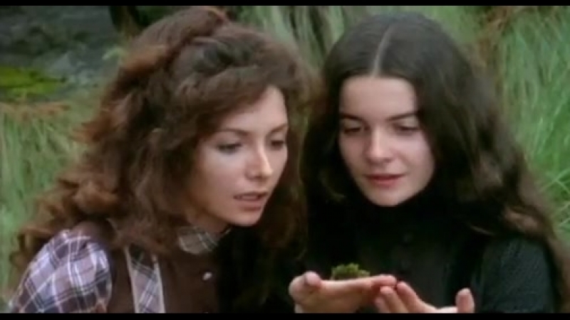 📽mondo macabro 2 mexican horror movies(2001)мексиканские ужасы