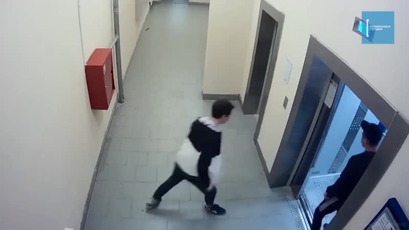 Биомусор в ногинске