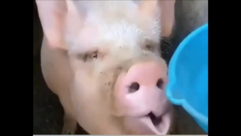 Утро, воскресение