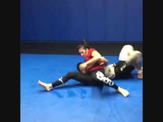 Cat zingano / training