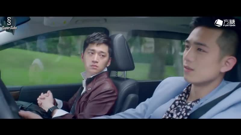 Compañero personalizado customized companion