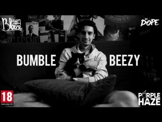 Bumble beezy у blaze`а на диване [рифмы и панчи]