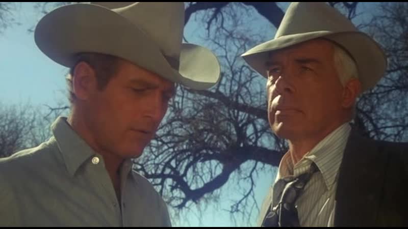 Карманные деньги (1972) (одноголосый)