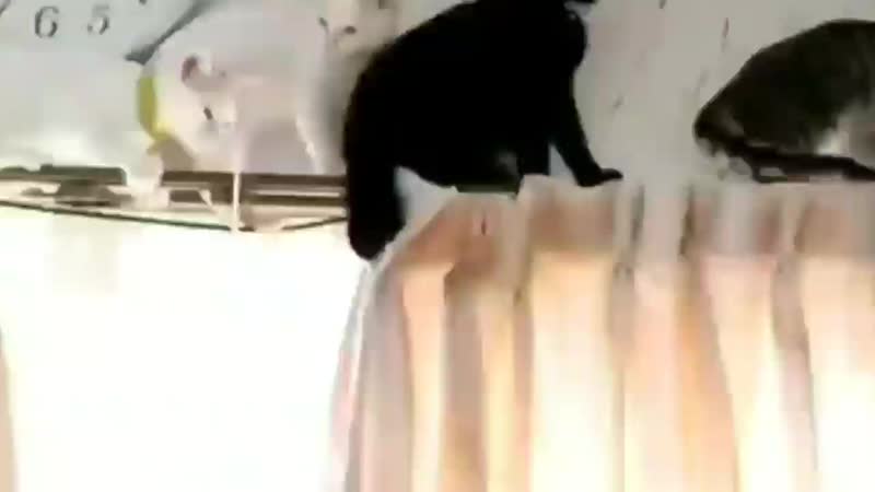 Namjoon by porn ⁺¹⁸