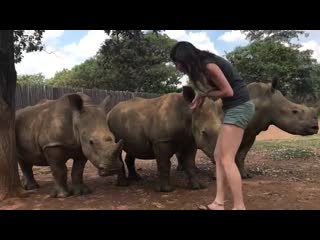 Throwback video of my favourite trio nandi, neni and thula