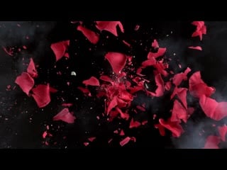 Ele funk garden cloud9（lyric movie）