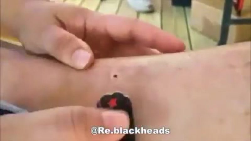 Добрый вечер мерзостей вам в ленту