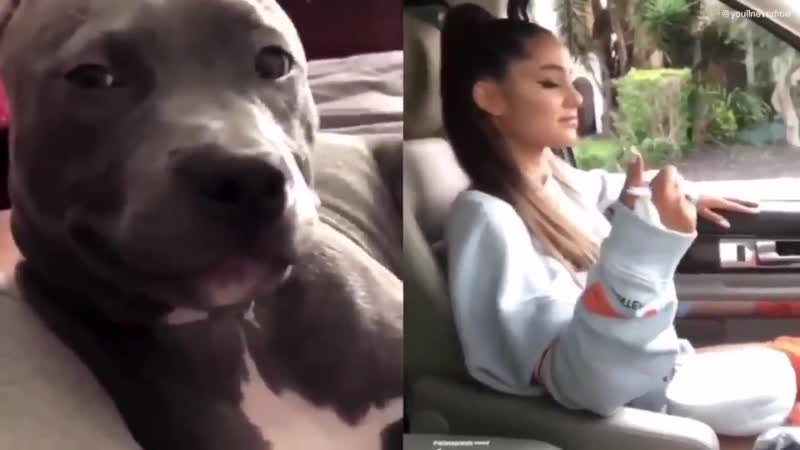 Sweety porn video – Паблик sweety ari the resemblance