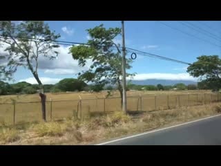 Costa rica village life 🇨🇷