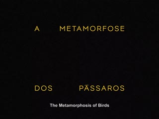 The metamorphosis of birds / a metamorfose dos pássaros (2020) dir catarina vasconcelos