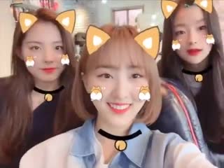 Bun, baby and kitten gathered in one place and decided to make a video!!!!