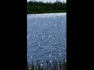 Vid 20200510 162540 mp4