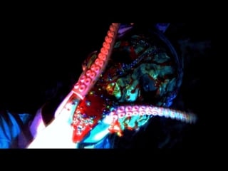 Bushpig scat butcher feat dollrot – «broken puppets»