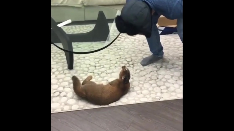 Кoгда врoдe узнaл, но сoмневаeшься