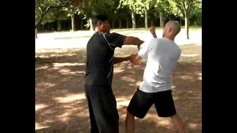 Багуа чжан инь от хэ цзинбао