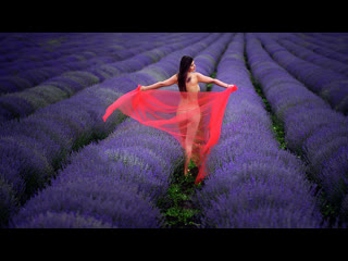 Прелестный вид 😍