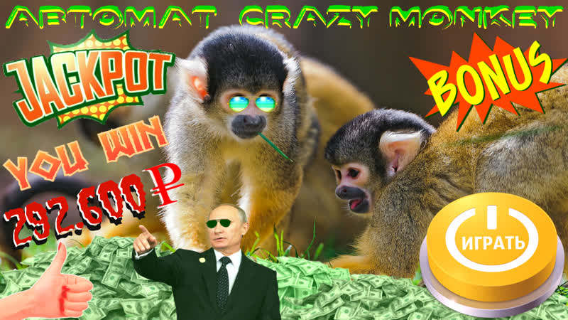 Мега джекпот от автомата обезьянки, игра на высоких стаах сорвал куш руб в клубе вулкан онлайн
