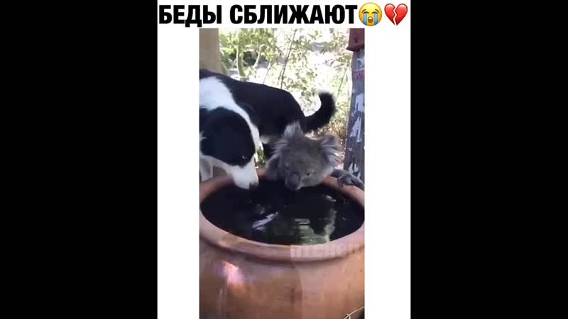 Беды porn video – Беды сближают (