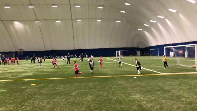 Live фаз выборгский 2012