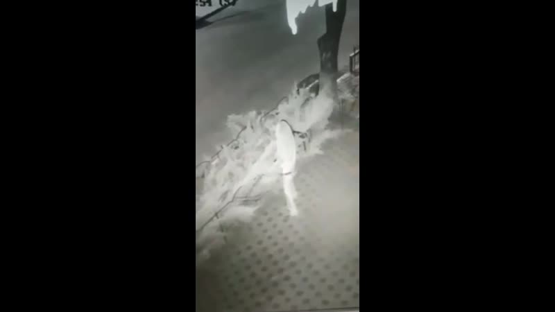 В полтаве был застрелен охранник кафе