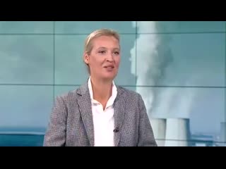 Hans maier dr alice weidel über fridays for future